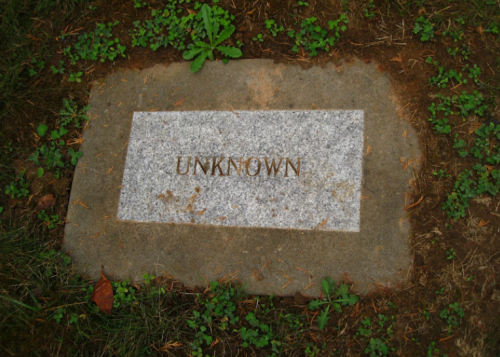 A gray stone grave marker inscribed with the word "UNKNOWN," surrounded by grass and small plants.