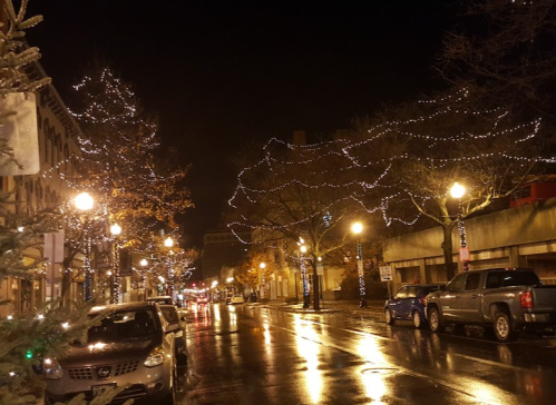 A rainy night street scene with trees adorned in lights and reflections on the wet pavement.