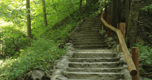 A stone staircase winds through a lush green forest, surrounded by trees and natural foliage.