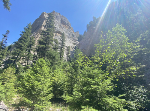 A sunlit mountain peak rises above lush green trees in a clear blue sky.