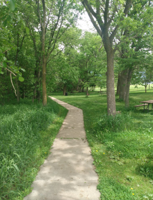 A winding concrete path through a lush green park, surrounded by trees and grass.