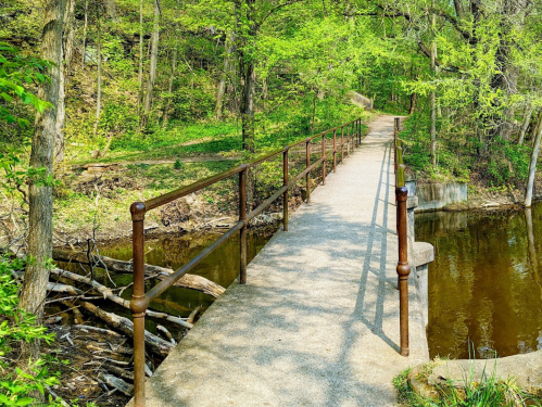 A serene pathway bridge over calm water, surrounded by lush green trees and foliage.