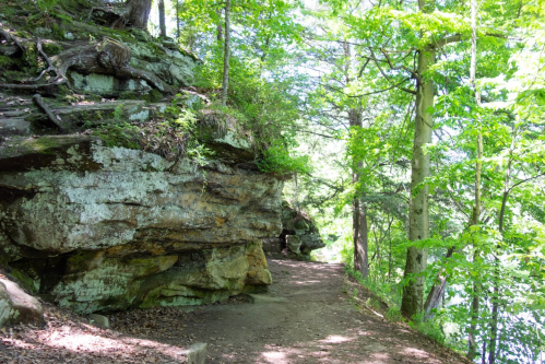 A scenic trail beside a rocky cliff, surrounded by lush green trees and a glimpse of water in the background.