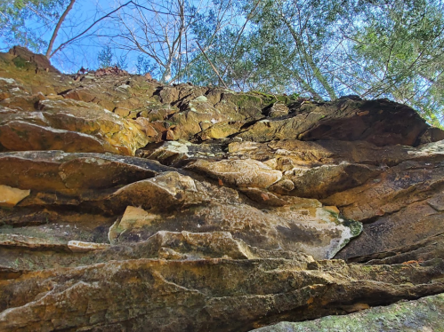 A close-up view of a rocky cliff with textured stone surfaces and trees above against a clear blue sky.