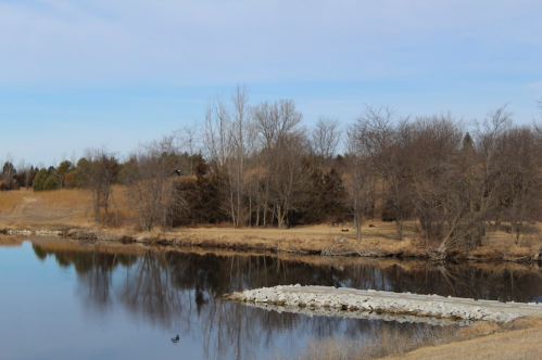 A calm pond surrounded by bare trees and grassy areas under a clear blue sky.