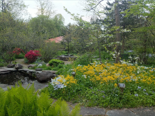 A serene garden scene featuring colorful flowers, lush greenery, and a small pond surrounded by rocks.