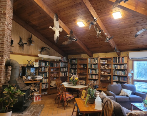 Cozy library with wooden beams, bookshelves, a sofa, and taxidermy birds mounted on the walls.