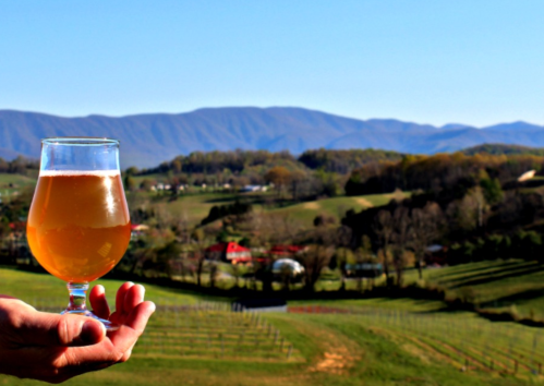 A hand holds a glass of beer with a scenic view of rolling hills and mountains in the background.