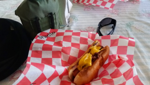 A hot dog with mustard on a red and white checkered paper, with sunglasses and a bag in the background.