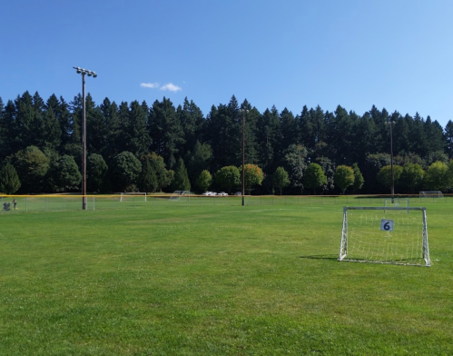 A sunny soccer field with two goals, surrounded by trees and a clear blue sky.
