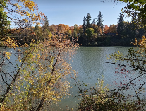 A serene river scene surrounded by autumn foliage and trees, reflecting vibrant fall colors.