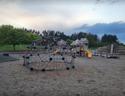 A playground featuring a climbing dome, slides, and play structures surrounded by trees and a cloudy sky.