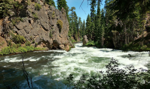 A rushing river flows between rocky cliffs, surrounded by lush green trees under a clear blue sky.