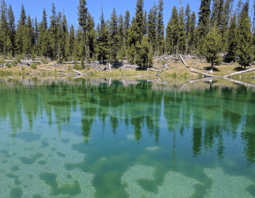 A serene lake surrounded by green trees, reflecting the clear blue sky and forest in its calm waters.