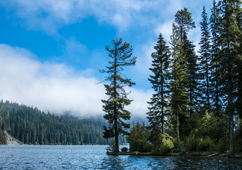 A serene lake surrounded by tall pine trees under a blue sky with scattered clouds.