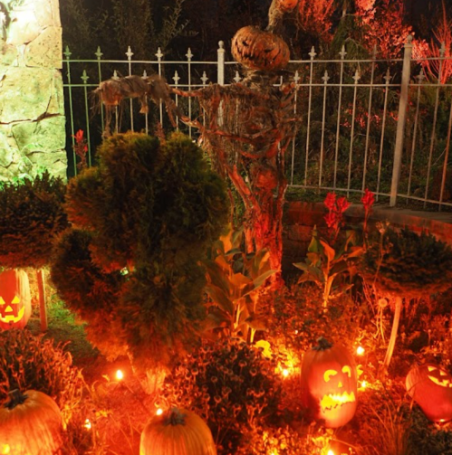 A spooky Halloween scene with a skeleton, carved pumpkins, and glowing lights among plants and a stone wall.