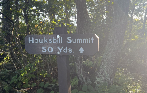 Wooden sign indicating "Hawksbill Summit 50 Yds" with an upward arrow, surrounded by trees and foliage.