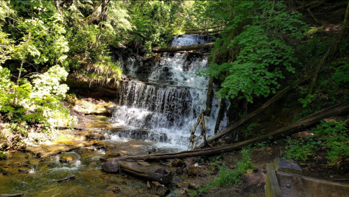 A serene waterfall cascades over rocks, surrounded by lush green trees and foliage in a peaceful forest setting.