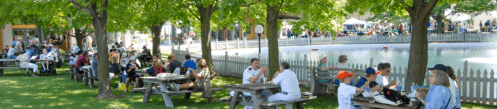 A lively outdoor scene with people dining at picnic tables under trees near a pond, enjoying a sunny day.