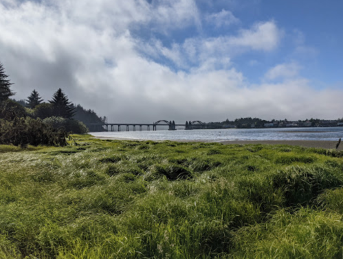 A serene landscape featuring a river, lush green grass, and a bridge in the distance under a partly cloudy sky.