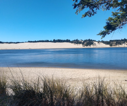 A serene view of a calm lake bordered by sandy shores and distant dunes under a clear blue sky.
