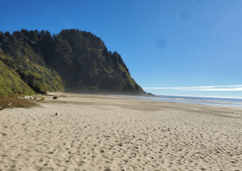 A sandy beach with gentle waves, surrounded by lush green cliffs under a clear blue sky.