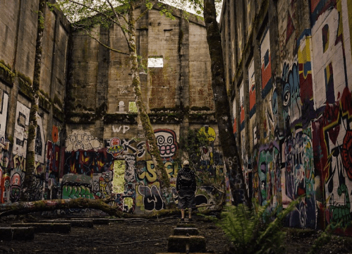 A person stands in a graffiti-covered, abandoned building surrounded by trees and overgrown vegetation.