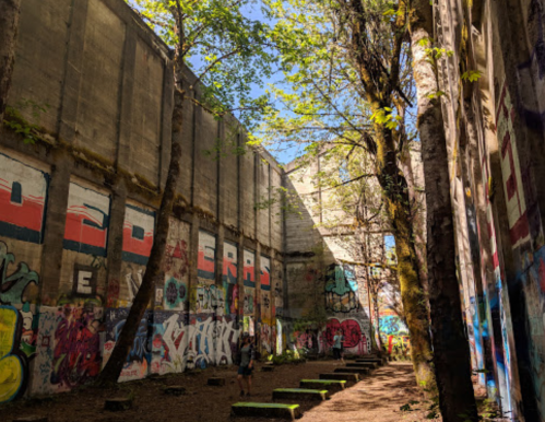 Abandoned building with tall walls covered in graffiti, surrounded by trees and sunlight filtering through.