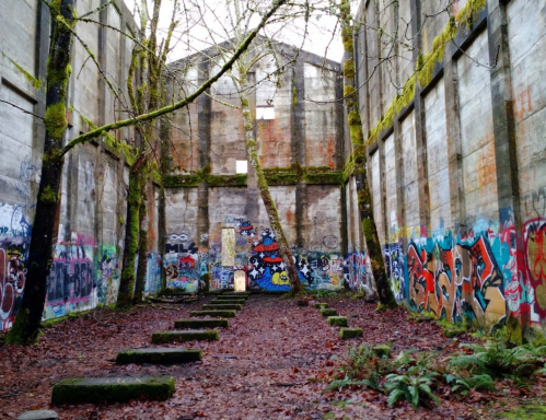 Abandoned building interior with graffiti-covered walls, mossy trees, and a leaf-covered ground.