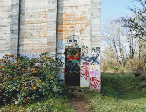 A weathered concrete wall with colorful graffiti and a small door, surrounded by overgrown greenery.