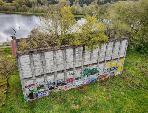 An abandoned building covered in colorful graffiti, surrounded by greenery and a calm body of water in the background.