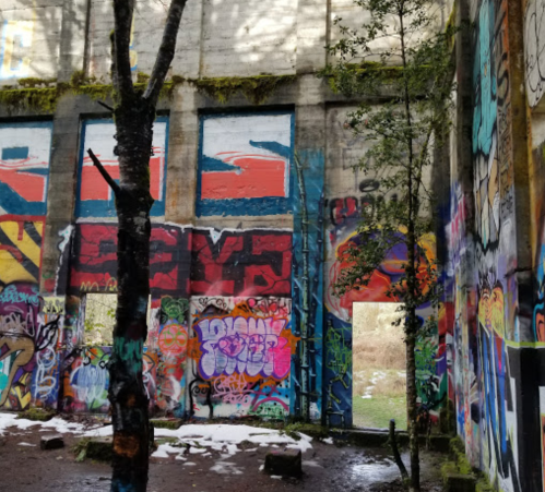 Graffiti-covered walls of an abandoned building, with trees and greenery visible through open doorways.