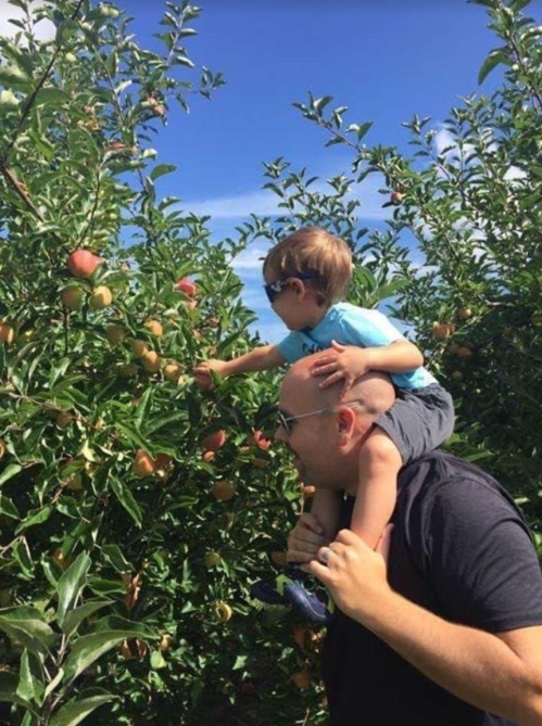 A child on an adult's shoulders reaches for apples in a sunny orchard, surrounded by green trees and blue skies.