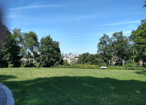A green park with trees and a clear blue sky, overlooking a city skyline in the distance.