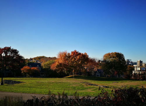 A clear blue sky over a park with vibrant autumn trees and distant buildings on a sunny day.