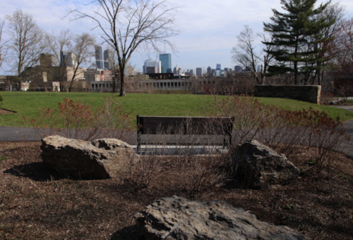 A park scene featuring a bench surrounded by rocks and sparse vegetation, with a city skyline in the background.