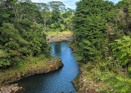 A serene river winding through lush green trees and rocky banks in a tropical landscape.