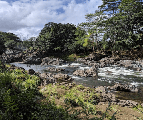 A serene river flows through rocky terrain, surrounded by lush greenery and trees under a partly cloudy sky.