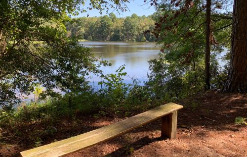 A wooden bench by a serene lake, surrounded by lush greenery and trees under a clear blue sky.