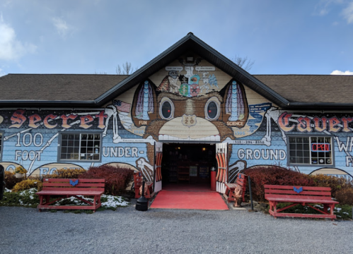Colorful mural on a building entrance featuring a cartoonish beaver, with benches and a red carpet leading inside.