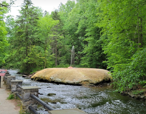 A serene river flows past a moss-covered rock surrounded by lush green trees in a peaceful natural setting.