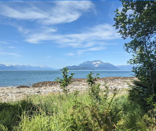 A serene coastal view with mountains in the distance, framed by greenery and a clear blue sky.