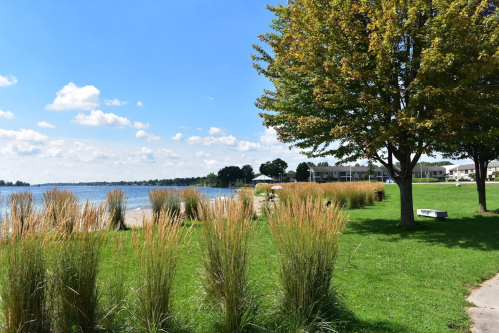 A serene lakeside view with tall grasses, trees, and a clear blue sky, featuring a beach and nearby buildings.