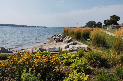 A serene waterfront scene with rocks, wildflowers, and tall grasses along a calm lake under a clear blue sky.