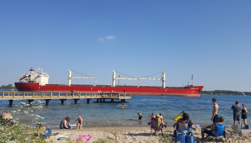 A large red cargo ship sails past a beach where people relax and play in the water on a sunny day.