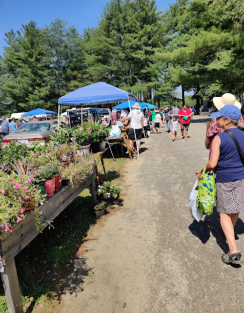 A bustling outdoor market with vendors, shoppers, and colorful plants along a gravel path under a clear blue sky.