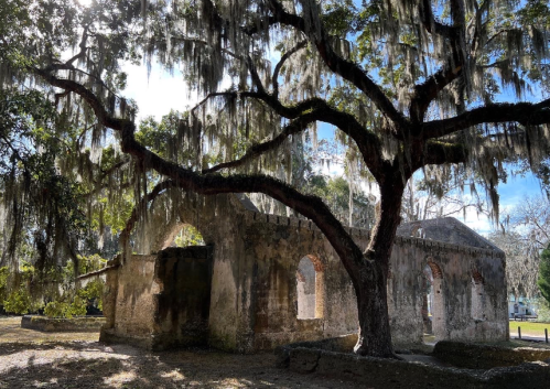 Ruins of an old building surrounded by a large tree draped in Spanish moss, with sunlight filtering through the branches.