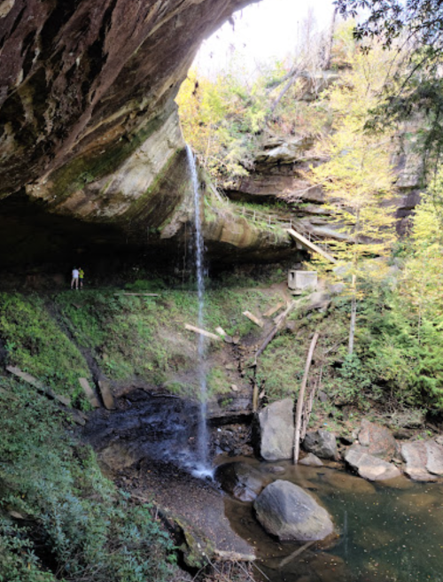A waterfall cascades from a rocky overhang into a serene stream, surrounded by lush greenery and trees.