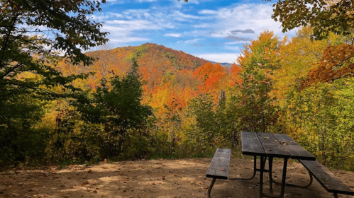 A picnic table overlooks a vibrant autumn landscape with colorful trees and a distant mountain under a blue sky.