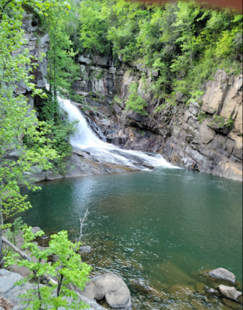 A serene waterfall cascades into a clear pool, surrounded by lush green trees and rocky cliffs.